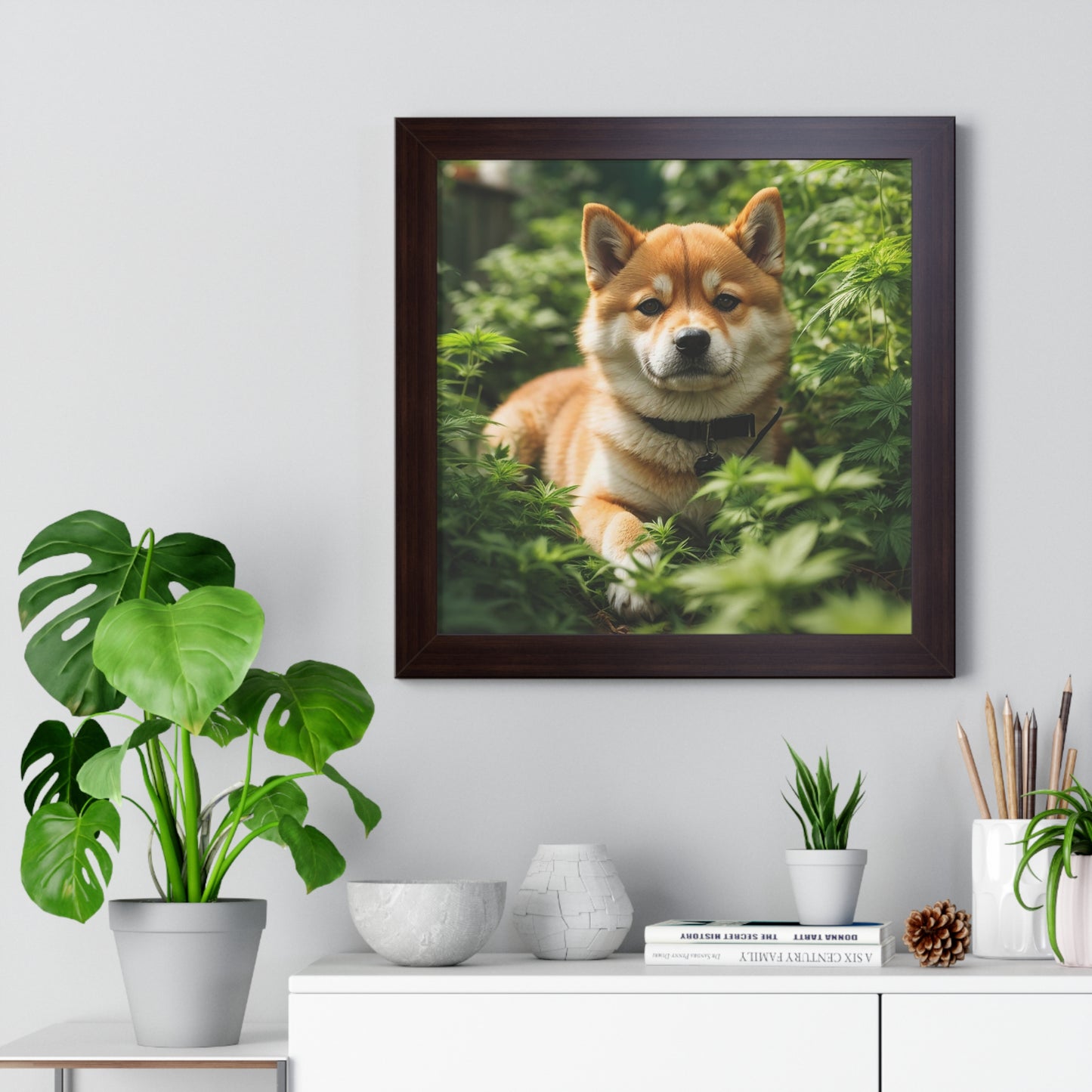 Exhibit 1- Indoor VS Outdoor - Shiba Inu 3