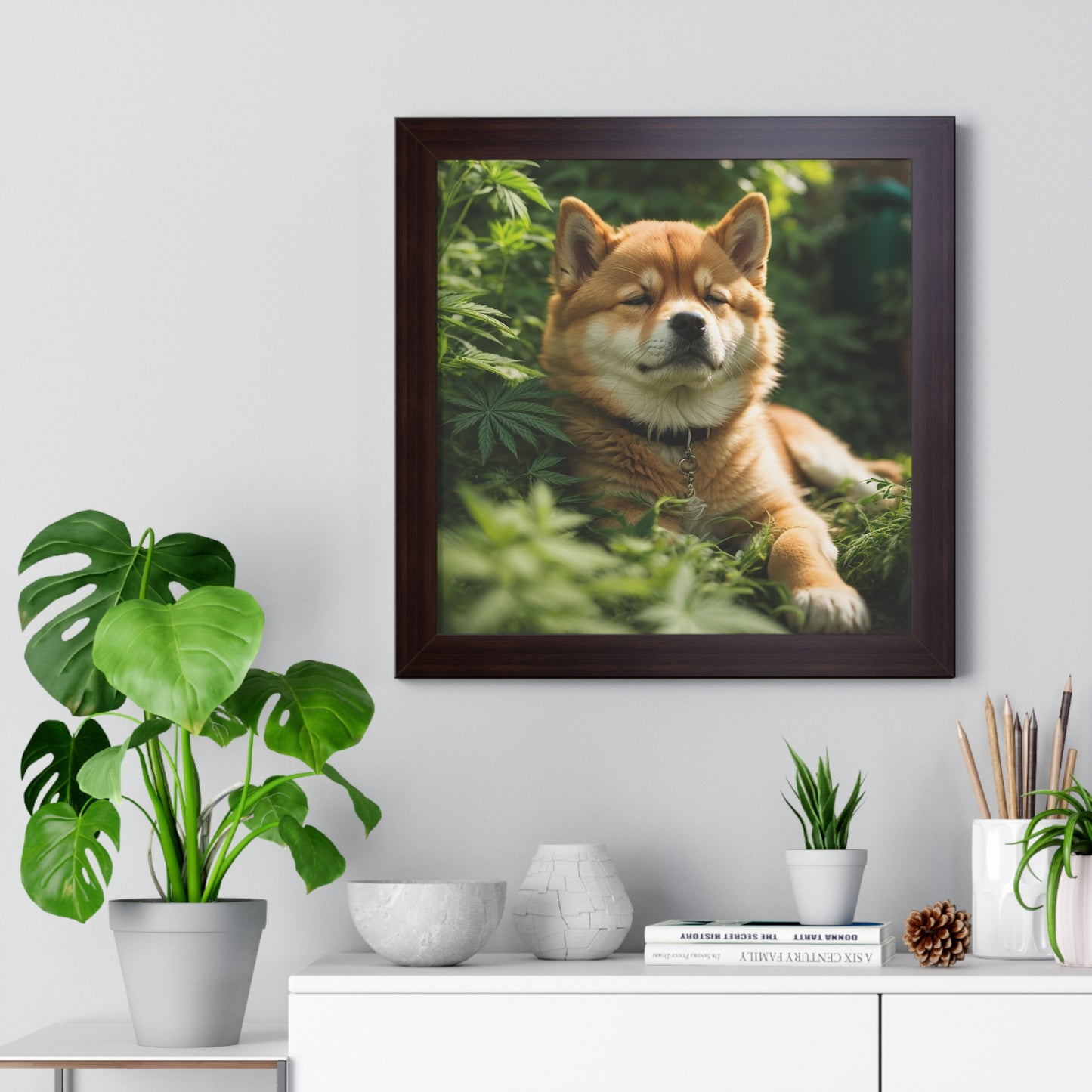 Exhibit 1- Indoor VS Outdoor - Shiba Inu 5