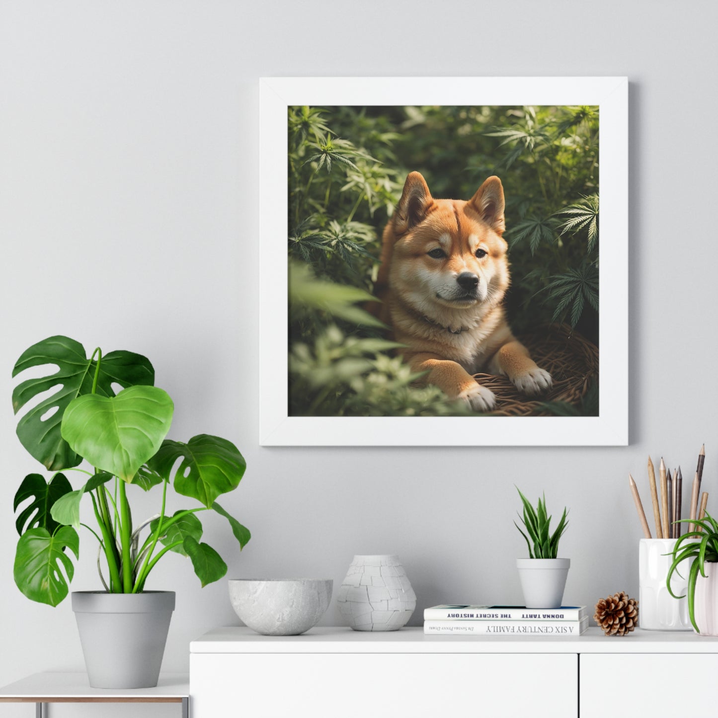 Exhibit 1- Indoor VS Outdoor - Shiba Inu 4