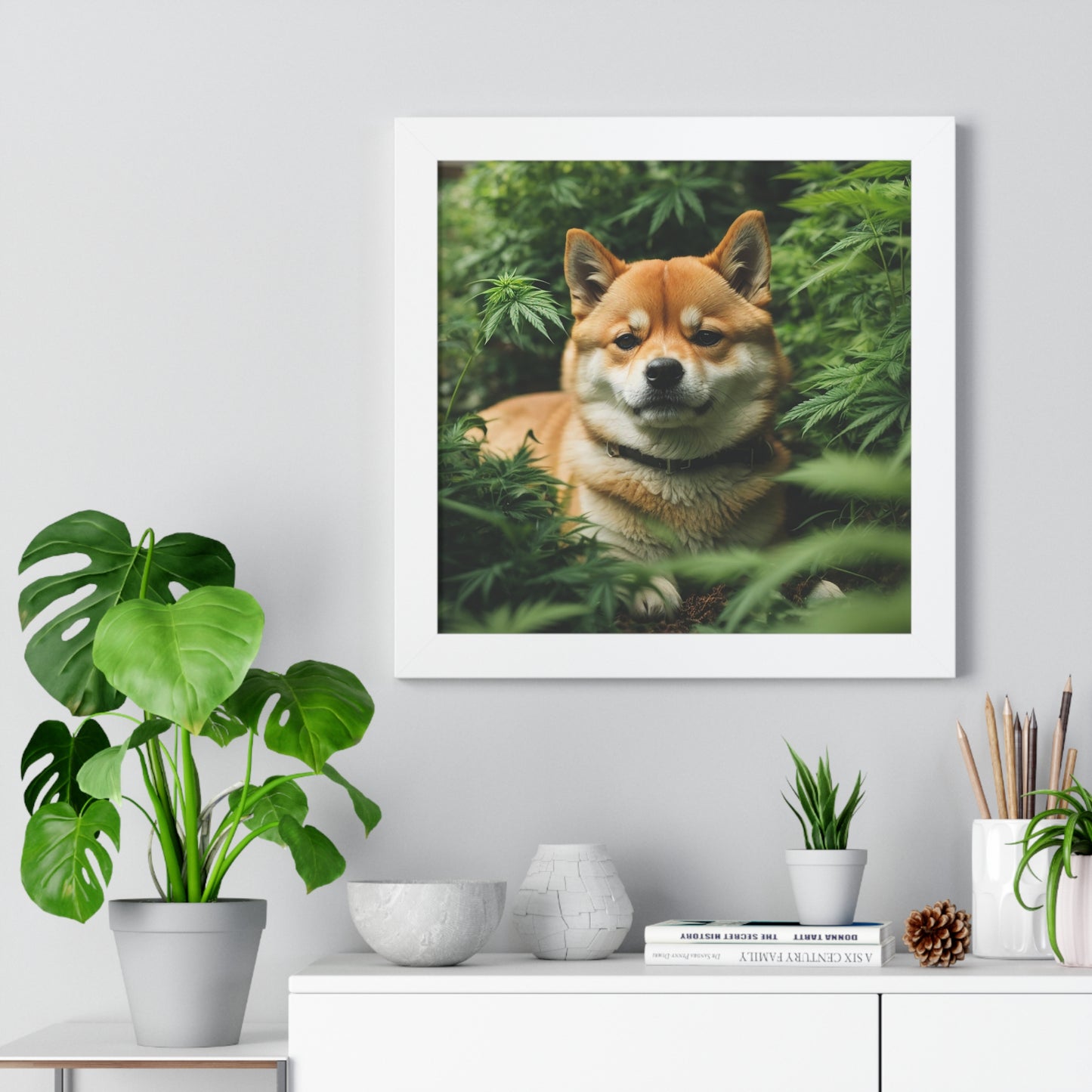 Exhibit 1- Indoor VS Outdoor - Shiba Inu 9