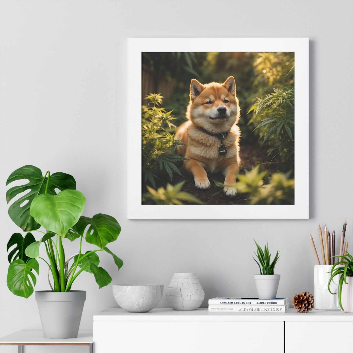 Exhibit 1- Indoor VS Outdoor - Shiba Inu 7