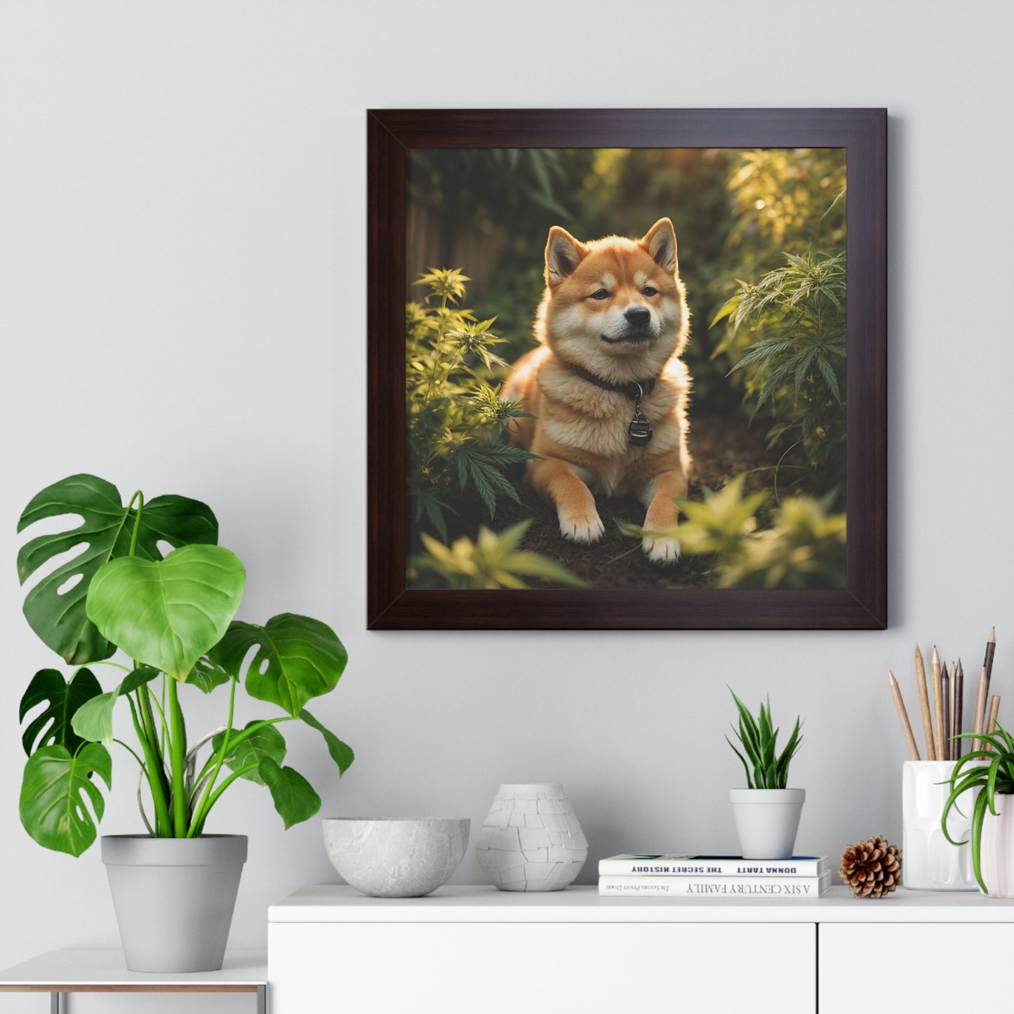 Exhibit 1- Indoor VS Outdoor - Shiba Inu 7