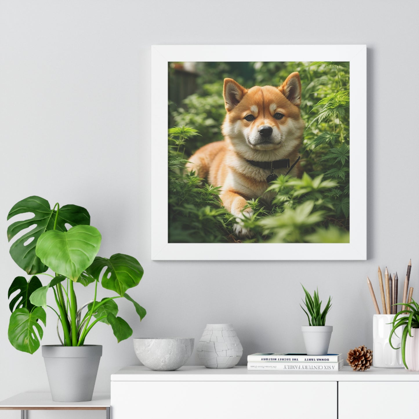 Exhibit 1- Indoor VS Outdoor - Shiba Inu 3