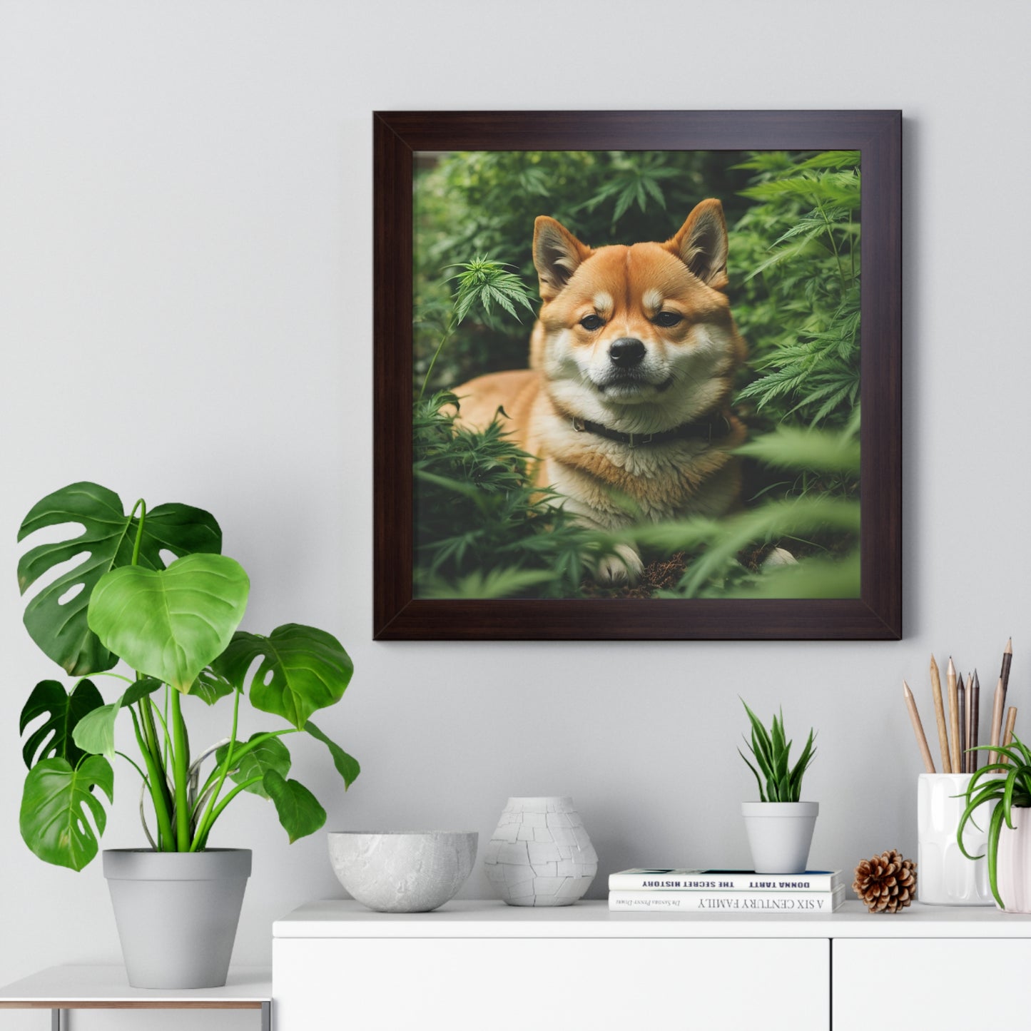 Exhibit 1- Indoor VS Outdoor - Shiba Inu 9