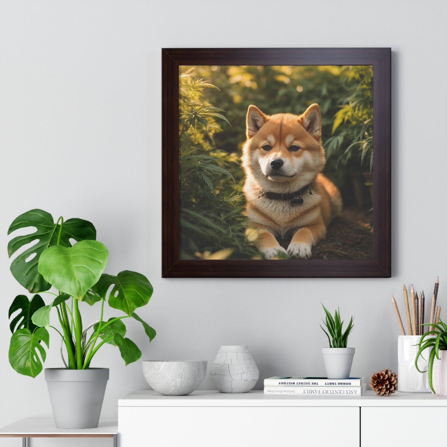 Exhibit 1- Indoor VS Outdoor - Shiba Inu 8