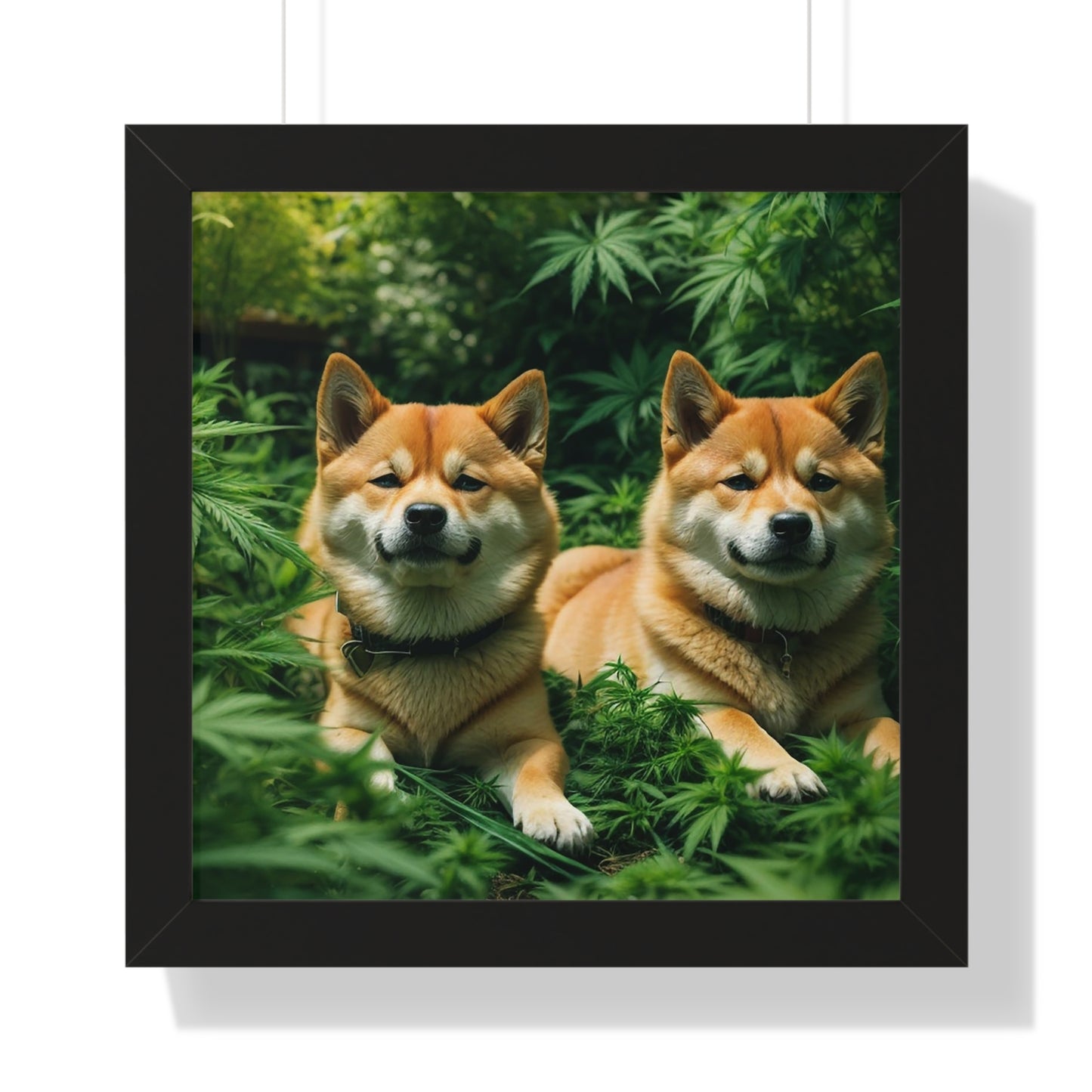 Exhibit 1 - Indoor VS Outdoor - Shiba Inu Group 9