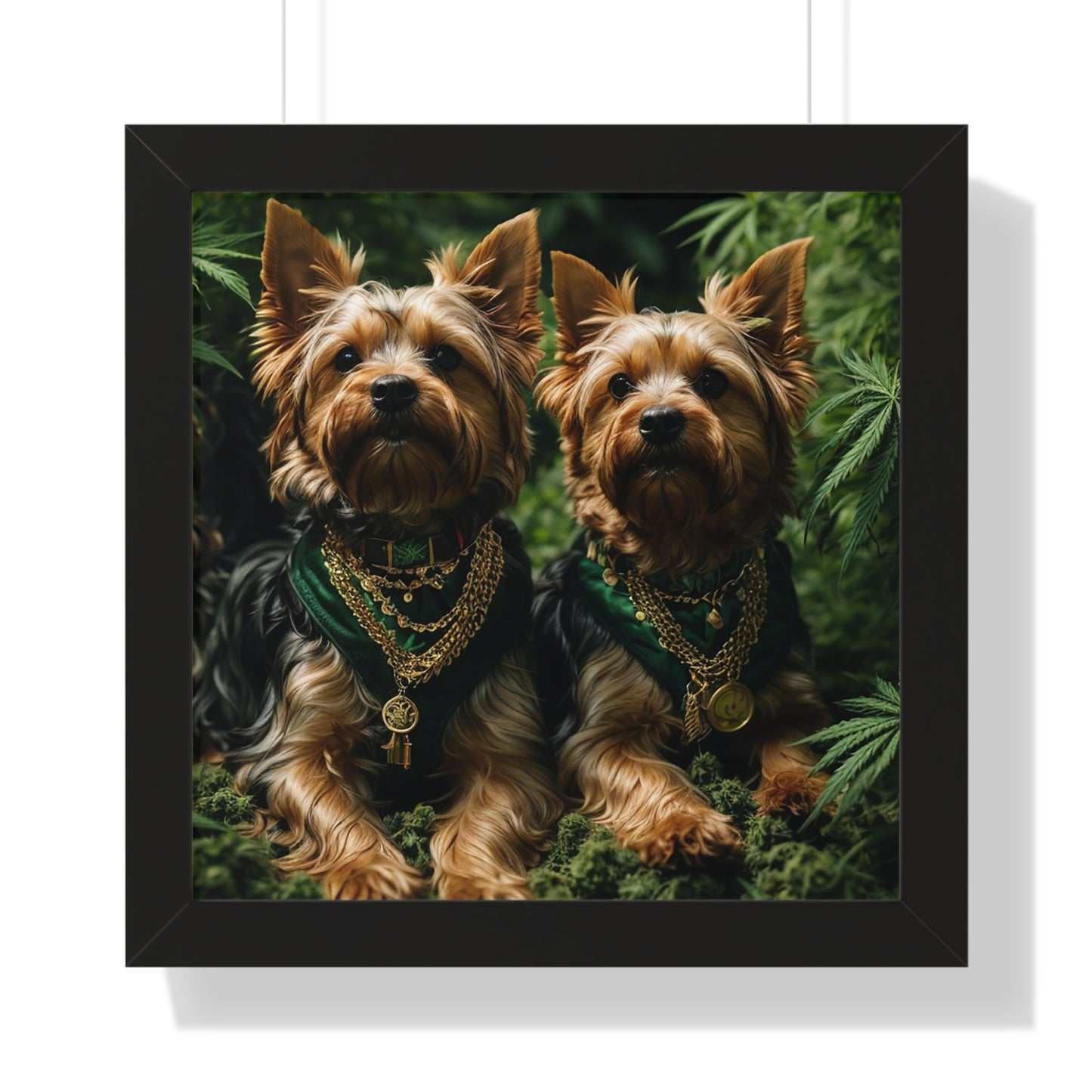 Exhibit 1 - Indoor VS Outdoor - Yorkshire Terrier Group 7