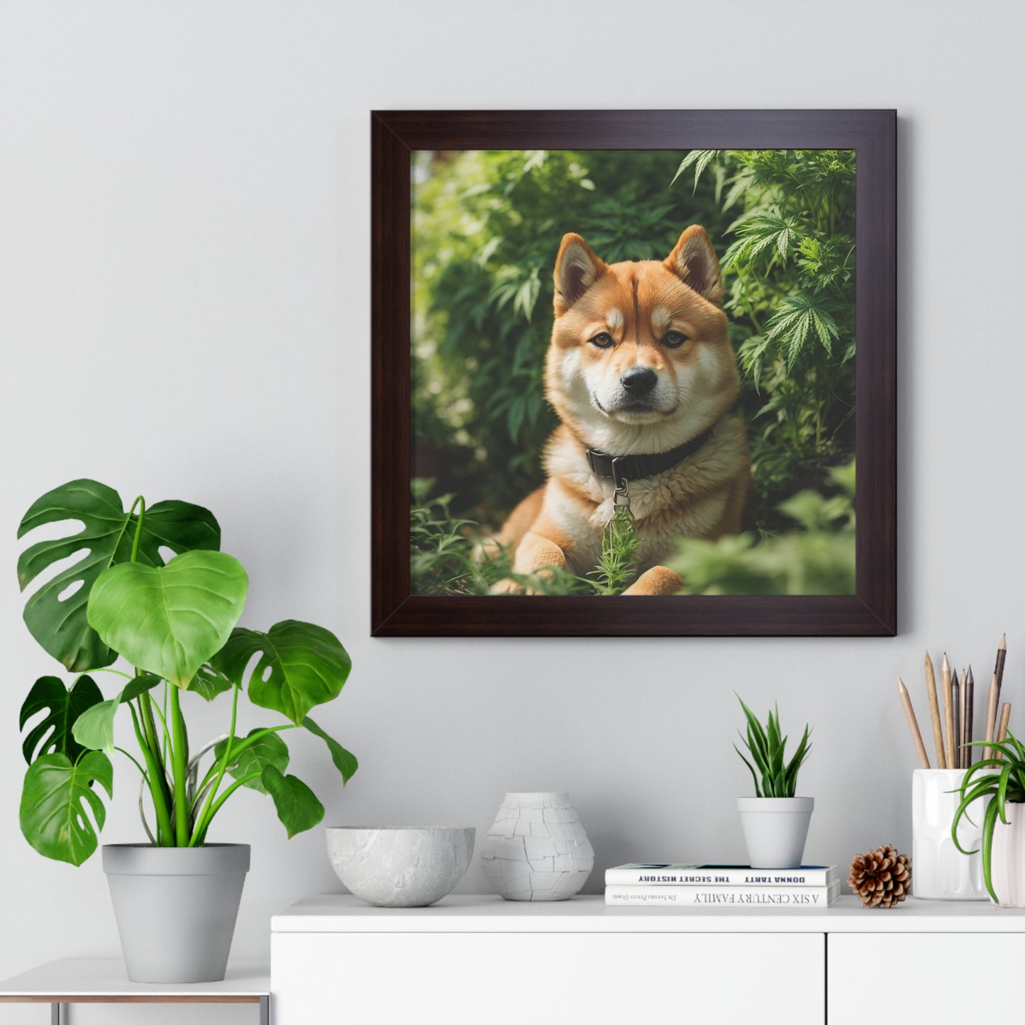 Exhibit 1- Indoor VS Outdoor - Shiba Inu 1