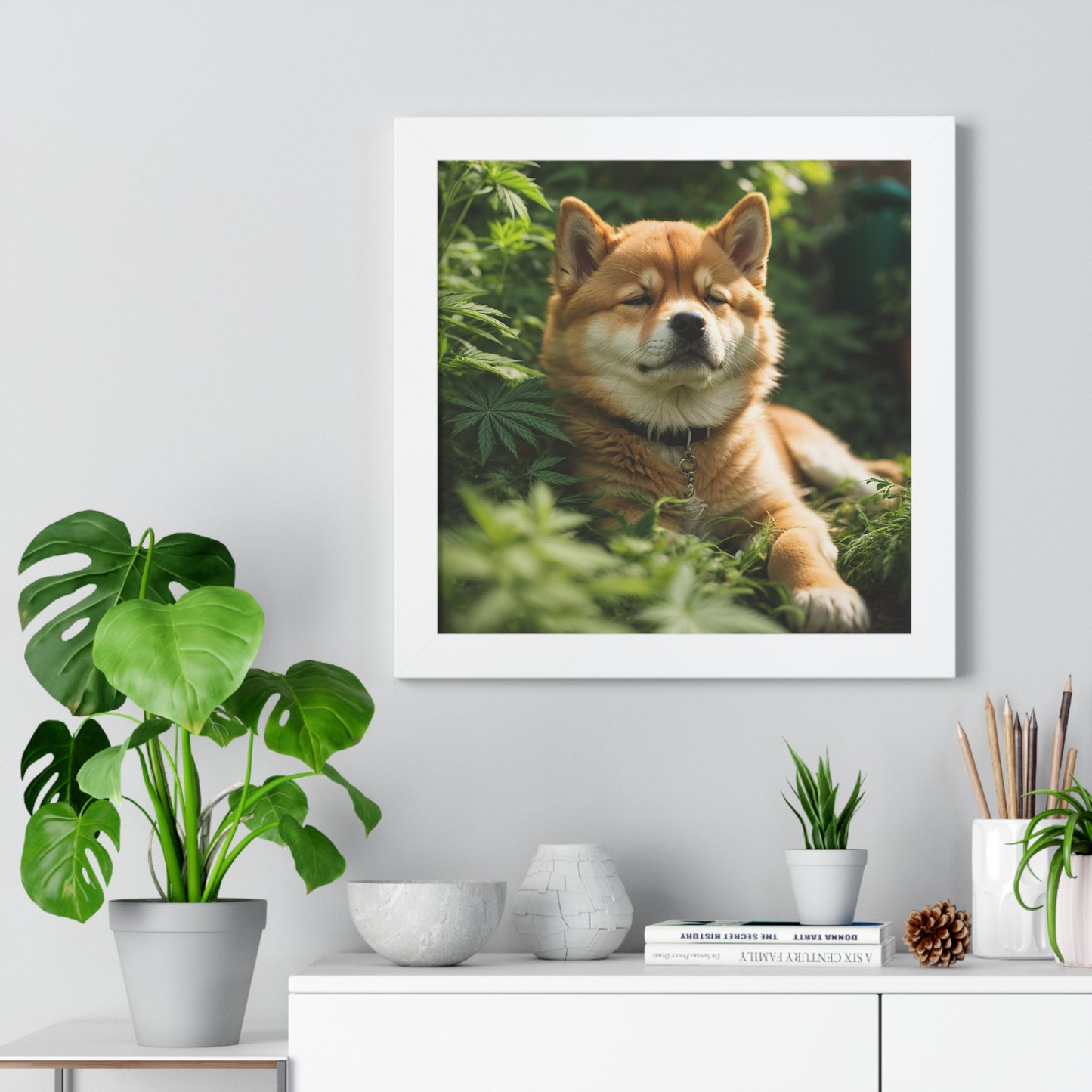 Exhibit 1- Indoor VS Outdoor - Shiba Inu 5