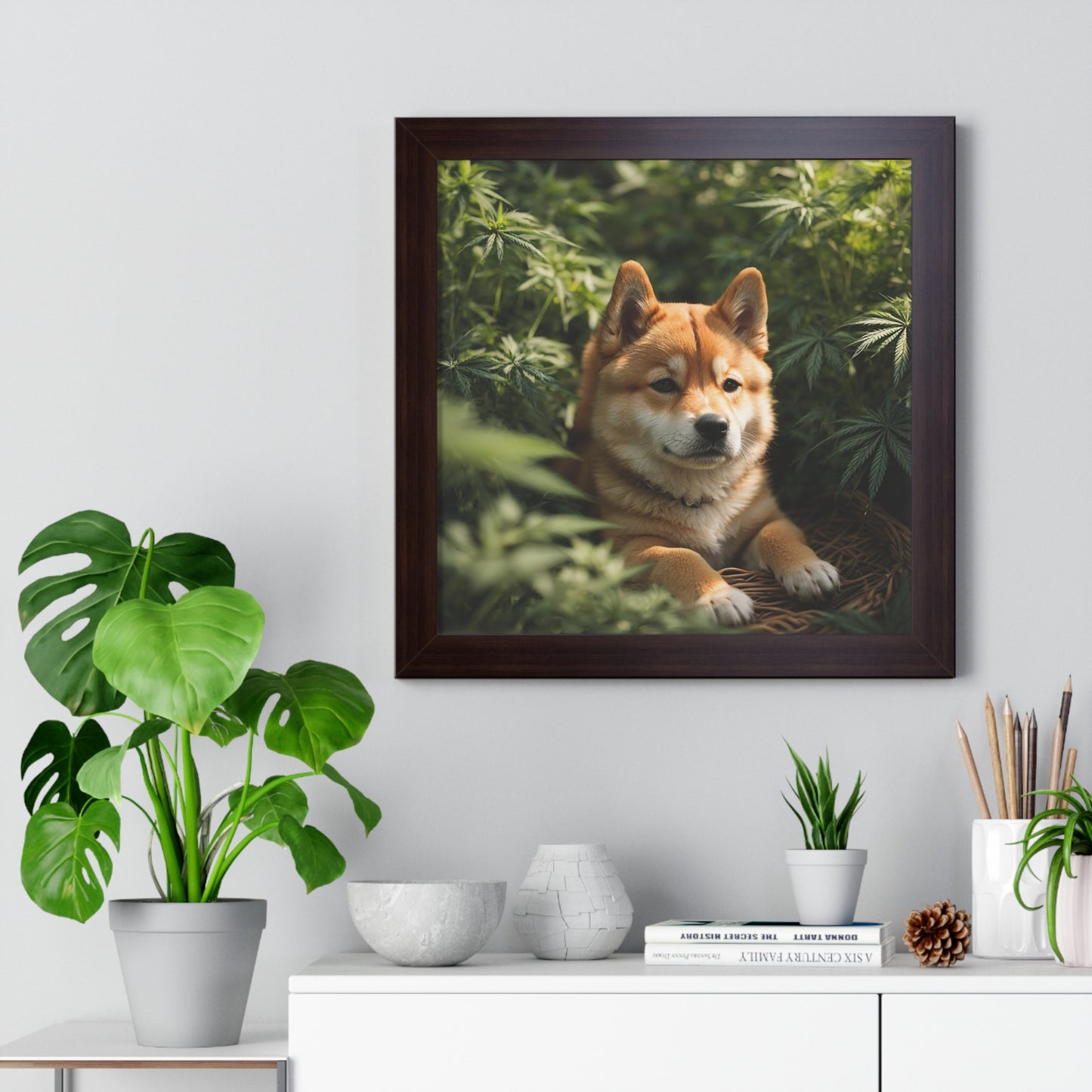 Exhibit 1- Indoor VS Outdoor - Shiba Inu 4