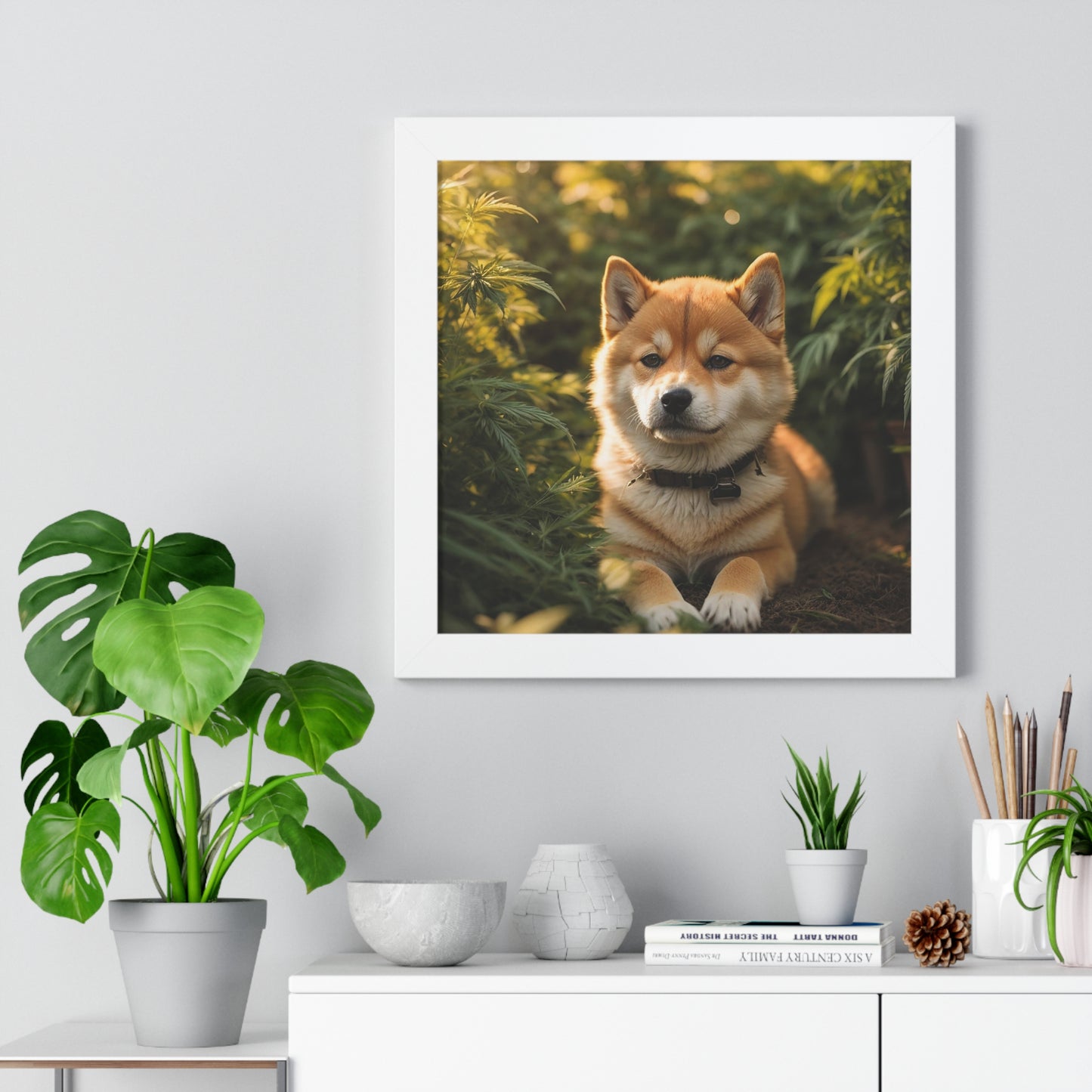 Exhibit 1- Indoor VS Outdoor - Shiba Inu 8