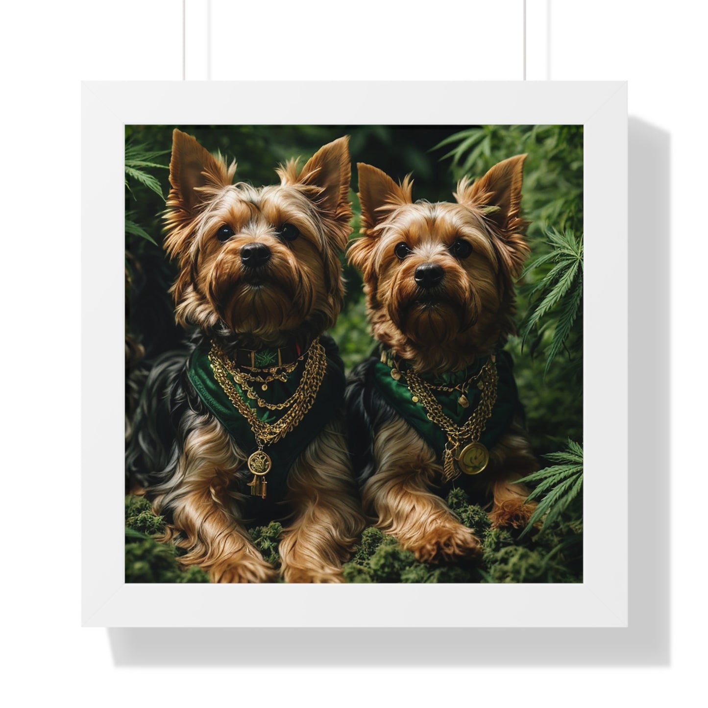 Exhibit 1 - Indoor VS Outdoor - Yorkshire Terrier Group 7