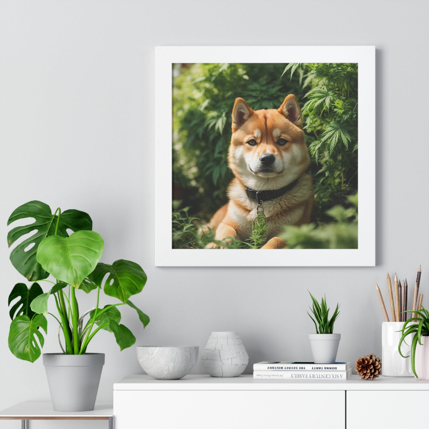 Exhibit 1- Indoor VS Outdoor - Shiba Inu 1